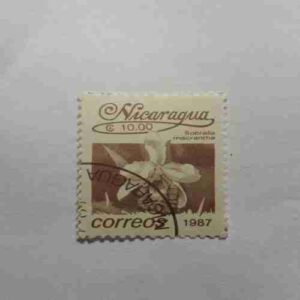 NICARAGUA 50.00$ POSTAGE STAMP , CORREOS 1987 NICARAGUA 50.00$ POSTAGE STAMP , CORREOS 1987