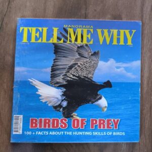 Tell Me Why ( October 2012 )