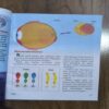 Document 4_82 Tell Me Why ( October 2013 )
