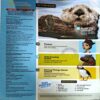 Document 52_17 National Geographic Kids (Aug 2019)