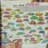 Bal Bhaskar ( 2nd December 2008 )
