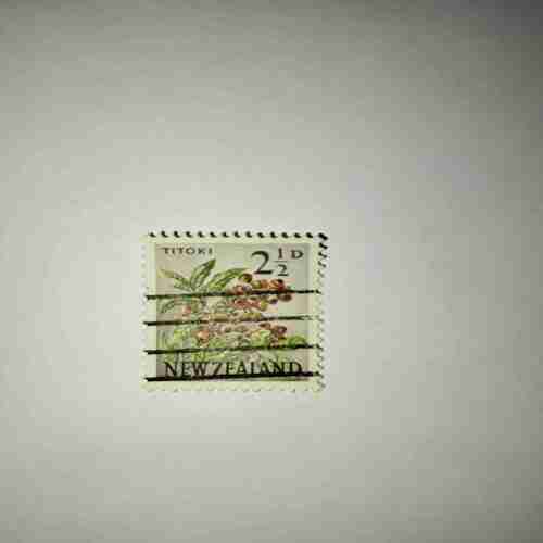 NEW ZEALAND 2 1/2D POSTAGE , TITOKI STAMP NEW ZEALAND 2 1/2D POSTAGE , TITOKI STAMP