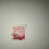 BELARUS 50.00 POSTAGE , 1993 STAMP
