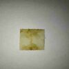 INDIA SERVICE 5C POSTAGE STAMP INDIA SERVICE 5C POSTAGE STAMP