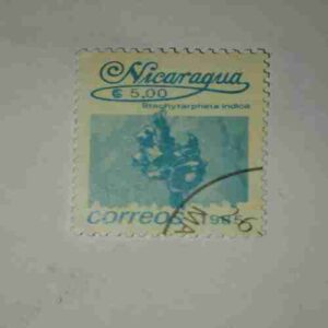 NICARAGUA 5.00C POSTAGE STAMP , CORREOS 1985 NICARAGUA 5.00C POSTAGE STAMP , CORREOS 1985