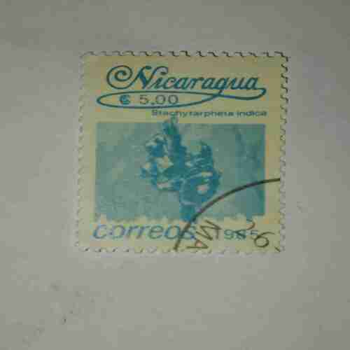 NICARAGUA 5.00C POSTAGE STAMP , CORREOS 1985