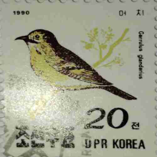 DPR KOREA 20 POSTAGE , GARRULUS GLANDARIUS 1990 STAMP DPR KOREA 20 POSTAGE , GARRULUS GLANDARIUS 1990 STAMP