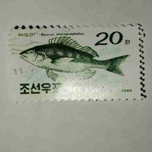 DPR KOREA 20 POSTAGE , 1990 STAMP DPR KOREA 20 POSTAGE , 1990 STAMP