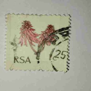 1969 SOUTH AFRICA 1C POSTAGE , ERYTHRINA STAMP 1969 SOUTH AFRICA 1C POSTAGE , ERYTHRINA STAMP