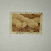 INDIA 25 POSTAGE STAMP INDIA 25 POSTAGE STAMP