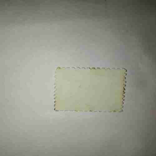 PAKISTANI 80P POSTAGE , RANIKOT FORT STAMP PAKISTANI 80P POSTAGE , RANIKOT FORT STAMP