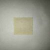 NEDERIAND 10C POSTAGE STAMP NEDERIAND 10C POSTAGE STAMP
