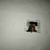 USA FIRST CLASS FOREVER POSTAGE STAMP 2008 USA FIRST CLASS FOREVER POSTAGE STAMP 2008