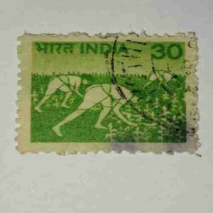 INDIA POSTAGE STAMP 30 INDIA POSTAGE STAMP 30