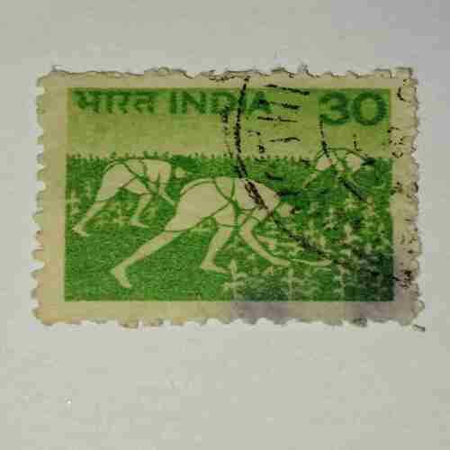 INDIA POSTAGE STAMP 30 INDIA POSTAGE STAMP 30