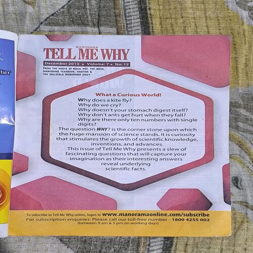 Tell Me Why ( December 2013 ) Tell Me Why ( December 2013 )
