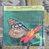 Tell Me Why ( November 2016 ) Tell Me Why ( November 2016 )