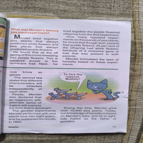 Document_173 Tell Me Why ( September 2014 )