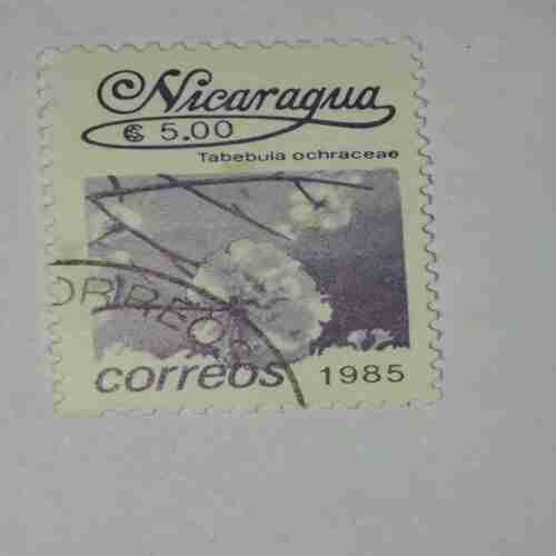 NICARAGUA 5.00$ POSTAGE STAMP , CORREOS 1985 NICARAGUA 5.00$ POSTAGE STAMP , CORREOS 1985