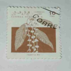 SAHARA OCC. R.A.S.D. 10PTAS POSTAGE , 1992 CORREOS STAMP SAHARA OCC. R.A.S.D. 10PTAS POSTAGE , 1992 CORREOS STAMP