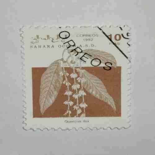 SAHARA OCC. R.A.S.D. 10PTAS POSTAGE , 1992 CORREOS STAMP SAHARA OCC. R.A.S.D. 10PTAS POSTAGE , 1992 CORREOS STAMP
