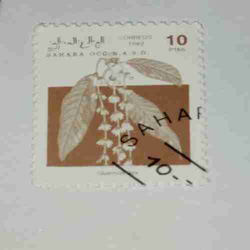 SAHARA OCC. R.A.S.D. 10PTAS POSTAGE , 1992 CORREOS STAMP SAHARA OCC. R.A.S.D. 10PTAS POSTAGE , 1992 CORREOS STAMP