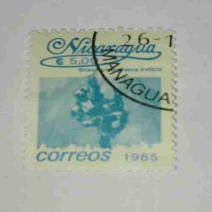 NICARAGUA 5.00$ POSTAGE STAMP , CORREOS 1985 NICARAGUA 5.00$ POSTAGE STAMP , CORREOS 1985