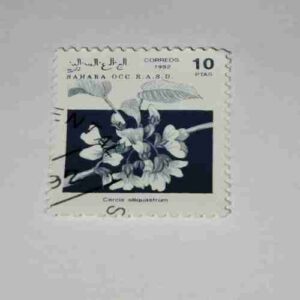 SAHARA OCC. R.A.S.D. 10PTAS POSTAGE , 1992 CORREOS STAMP SAHARA OCC. R.A.S.D. 10PTAS POSTAGE , 1992 CORREOS STAMP
