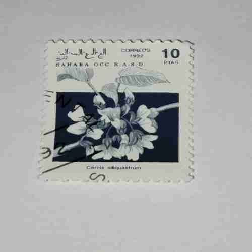 SAHARA OCC. R.A.S.D. 10PTAS POSTAGE , 1992 CORREOS STAMP SAHARA OCC. R.A.S.D. 10PTAS POSTAGE , 1992 CORREOS STAMP