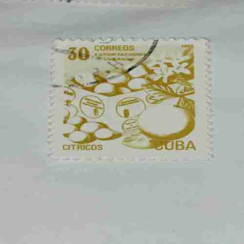 CUBA CITRICOS 30 CORREOS POSTAGE STAMP CUBA CITRICOS 30 CORREOS POSTAGE STAMP