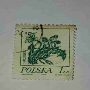 POLSKA 1ZL KONARZEWSKI POSTAGE STAMP POLSKA 1ZL KONARZEWSKI POSTAGE STAMP