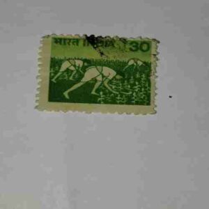 INDIA POSTAGE STAMP 30 INDIA POSTAGE STAMP 30