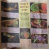 Balrang ( 31st March 2000 ) ( cut on front cover )