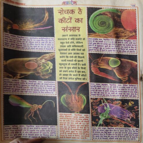 Balrang ( 31st March 2000 ) ( cut on front cover )