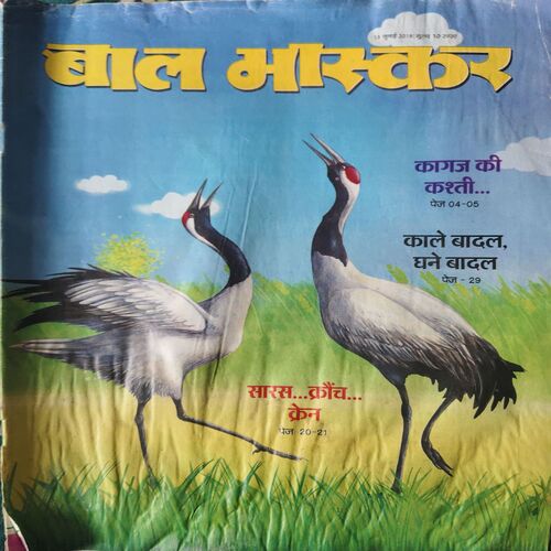 Document_55 Bal Bhaskar ( 13th July 2018 )