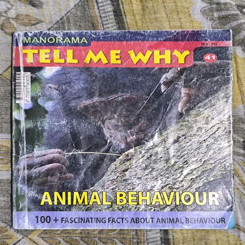 Tell Me Why ( February 2010 ) Tell Me Why ( February 2010 )
