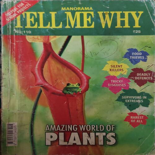 Tell me why ( November 2015 ) Tell me why ( November 2015 )