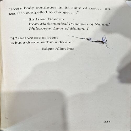 The Things With Wings (pages 228)