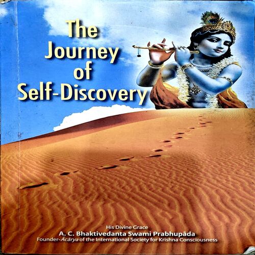 trashed-1788854893-Document 50_77 The Journey of Self Discovery (pages 294)
