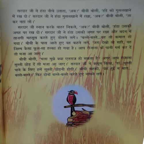 Document 2_12 Aakho dekhi