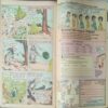 Tinkle (No.387, Rs.10) Tinkle (No.387, Rs.10)