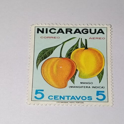 NICARAGUA CORRREO 5C POSTAGE STAMP NICARAGUA CORRREO 5C POSTAGE STAMP