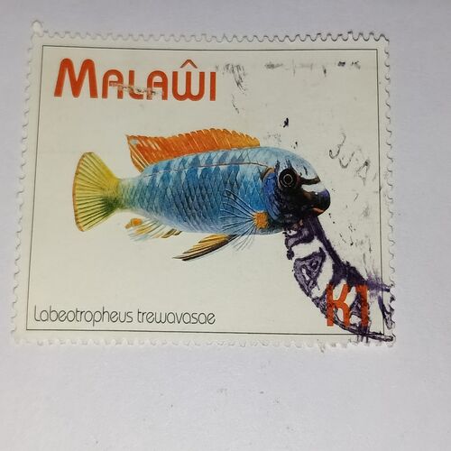 MALAWI POSTAGE STAMP MALAWI POSTAGE STAMP