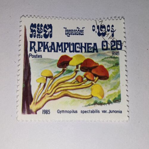 CAMBODIA 1985 POSTAGE STAMP CAMBODIA 1985 POSTAGE STAMP