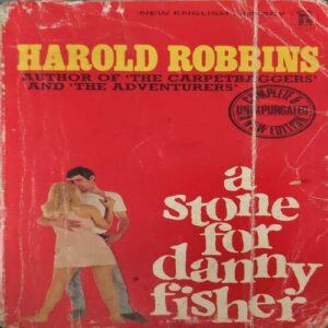 A Stone For Danny Fisher ( By = Harold Robbins ) ( No. of 350]) ( small cut in lower corner )