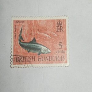 MNH- BRITSH HONDURAS 5CENT POSTAGE STAMP MNH- BRITSH HONDURAS 5CENT POSTAGE STAMP
