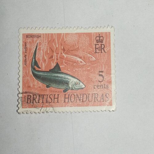 MNH- BRITSH HONDURAS 5CENT POSTAGE STAMP MNH- BRITSH HONDURAS 5CENT POSTAGE STAMP