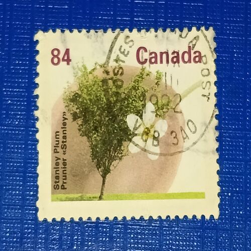 USED - CANADA 84 POSTAGE STAMP USED - CANADA 84 POSTAGE STAMP