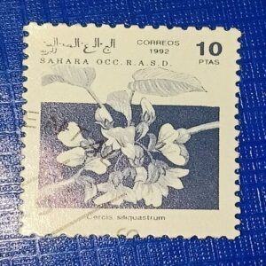 SAHARA OCC R.A.S.D. 10Ptas POSTAGE STAMP