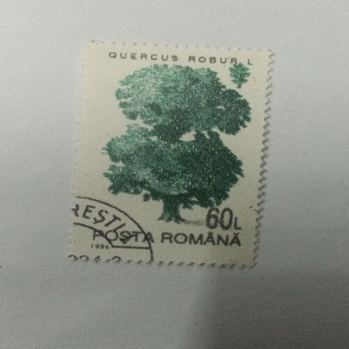 POSTA ROMANA 60L POSTAGE STAMP POSTA ROMANA 60L POSTAGE STAMP